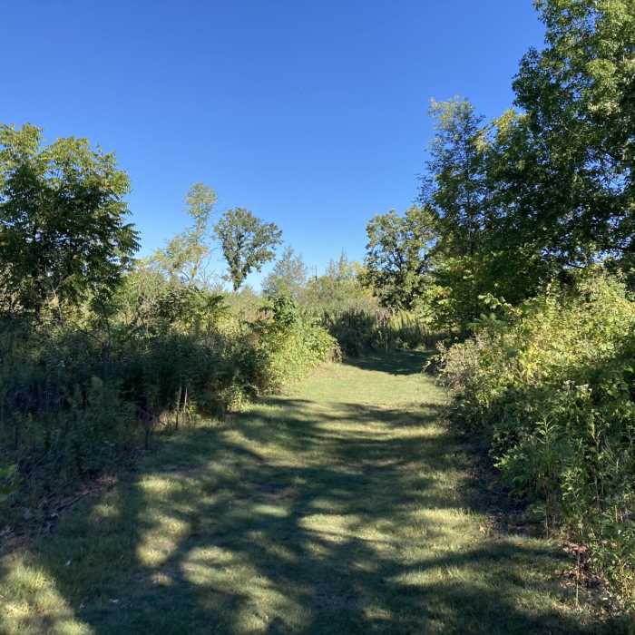 Near Hiking Club Trail