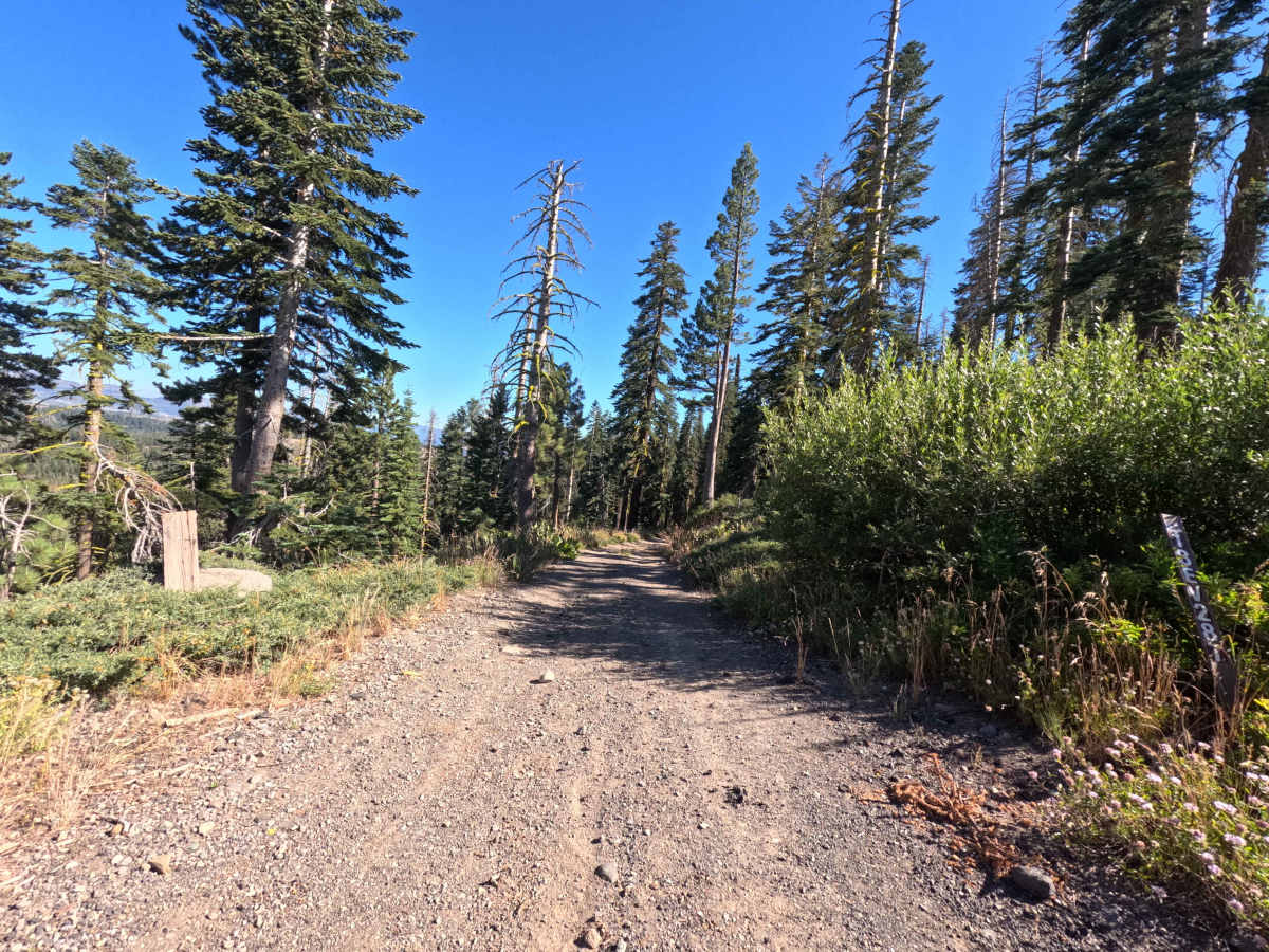 Tamarack - FS 18EV287 photo 5
