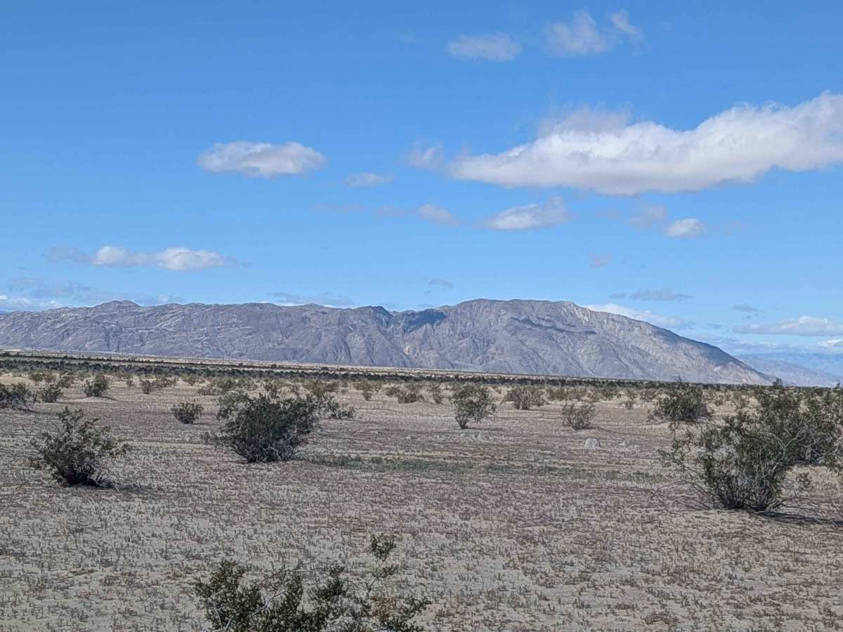 BLM 201 photo 3