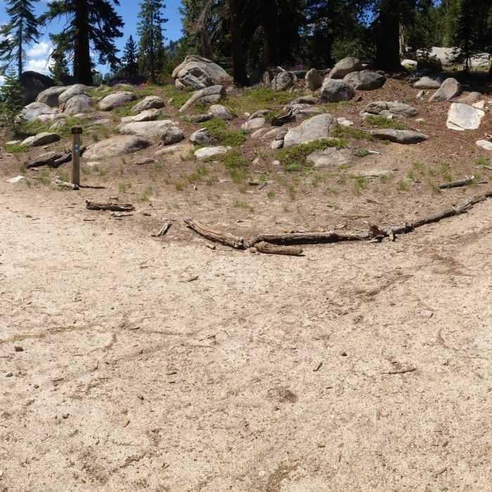 Near Tahoe Rim Trail: Kingsbury South to Big Meadow