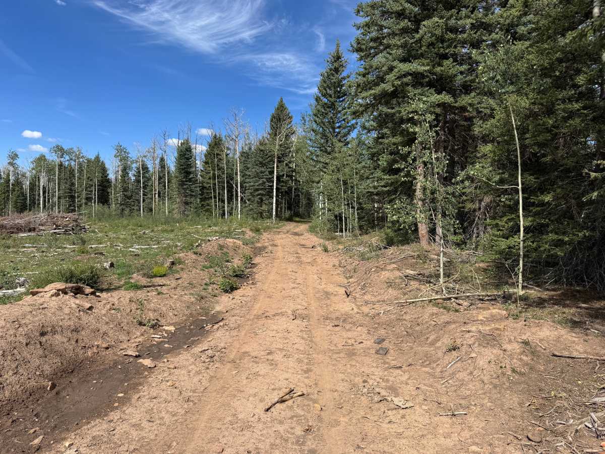 Pipe Creek Road Spur trail photo