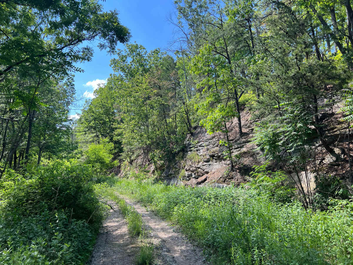 KC23 trail photo
