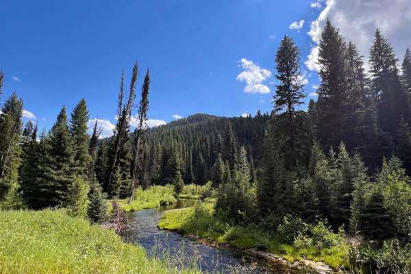 Martin Creek to Chain of Lakes Trail
