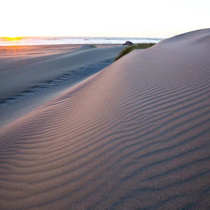 Near Oregon Coast Trail Section 9