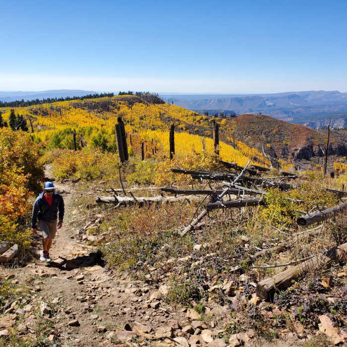 Views to the south. Near Radio Tower #1