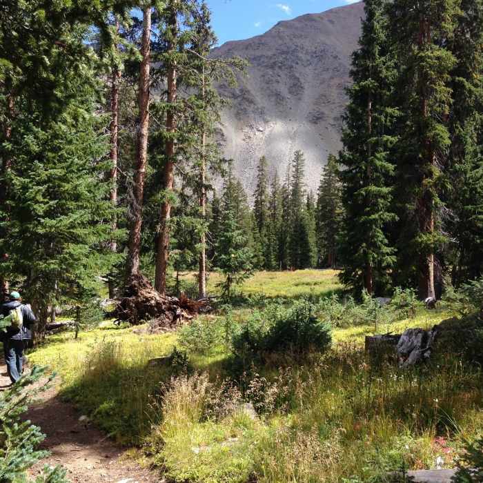 A typical view from the lower part of the trail, with the forest opening up to East Wall views. Near Half Moon Trail