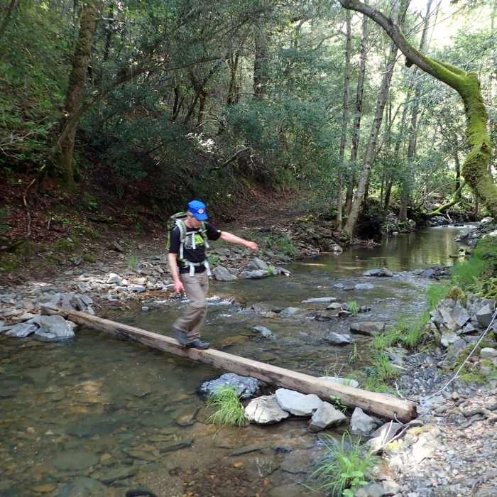 A balanced crossing of Moore Creek Near Moore Creek Trail