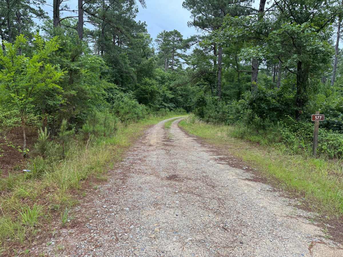 Briley trail photo