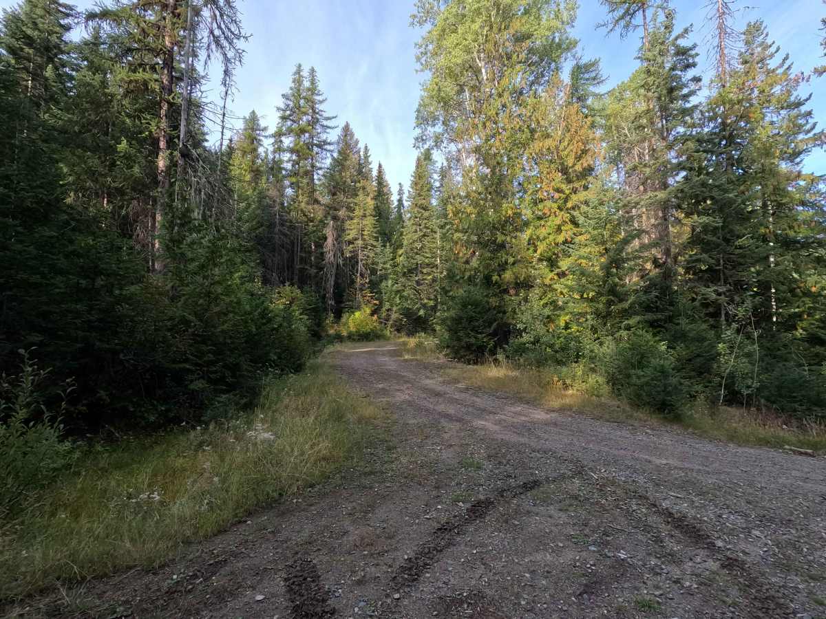 FS 7005460 trail photo