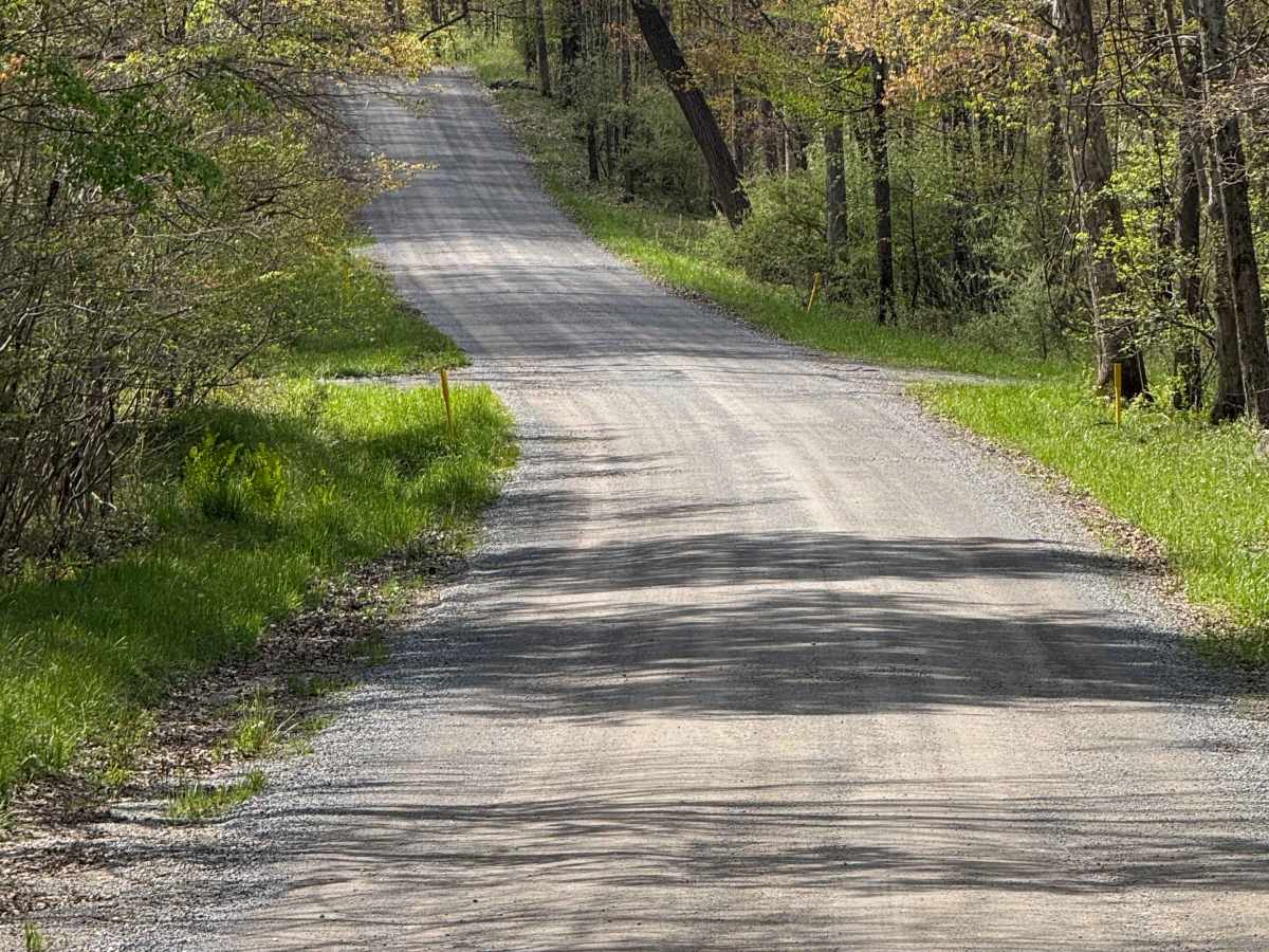 McGeorge Road photo 2