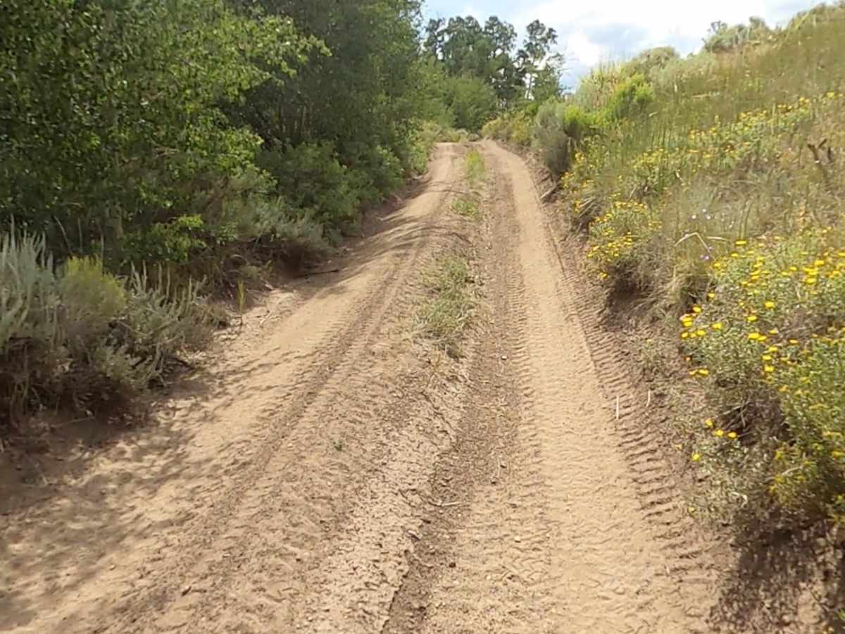 Squaw Ridge Road photo 2