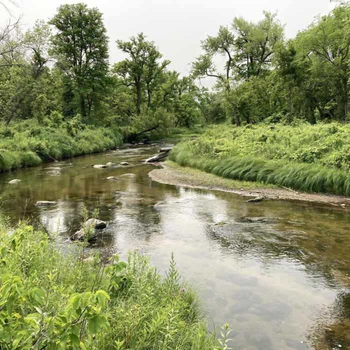 Near Buffalo River State Park Hiking Club Trail