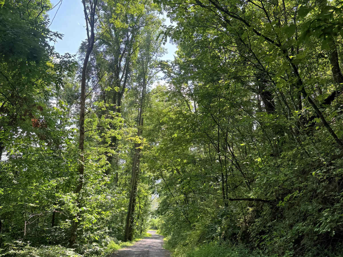 Osborne Ridge  photo 4