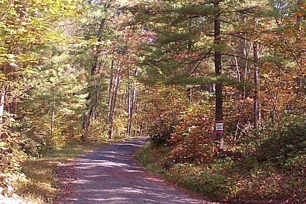 Spruce Mountain Road