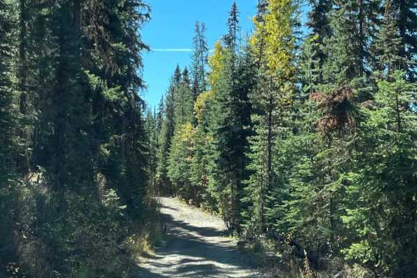 Aberdeen FSR to Ideal Lake