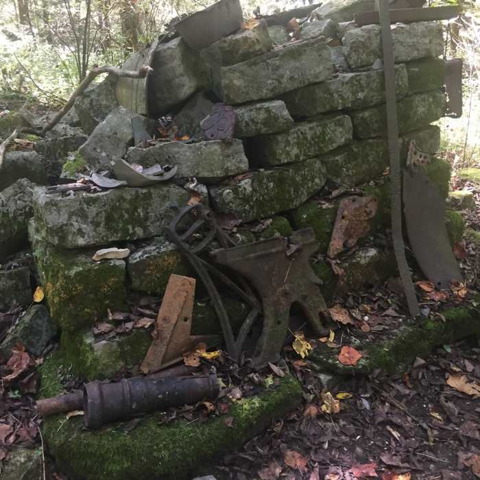 Near Edgar Evins Loop