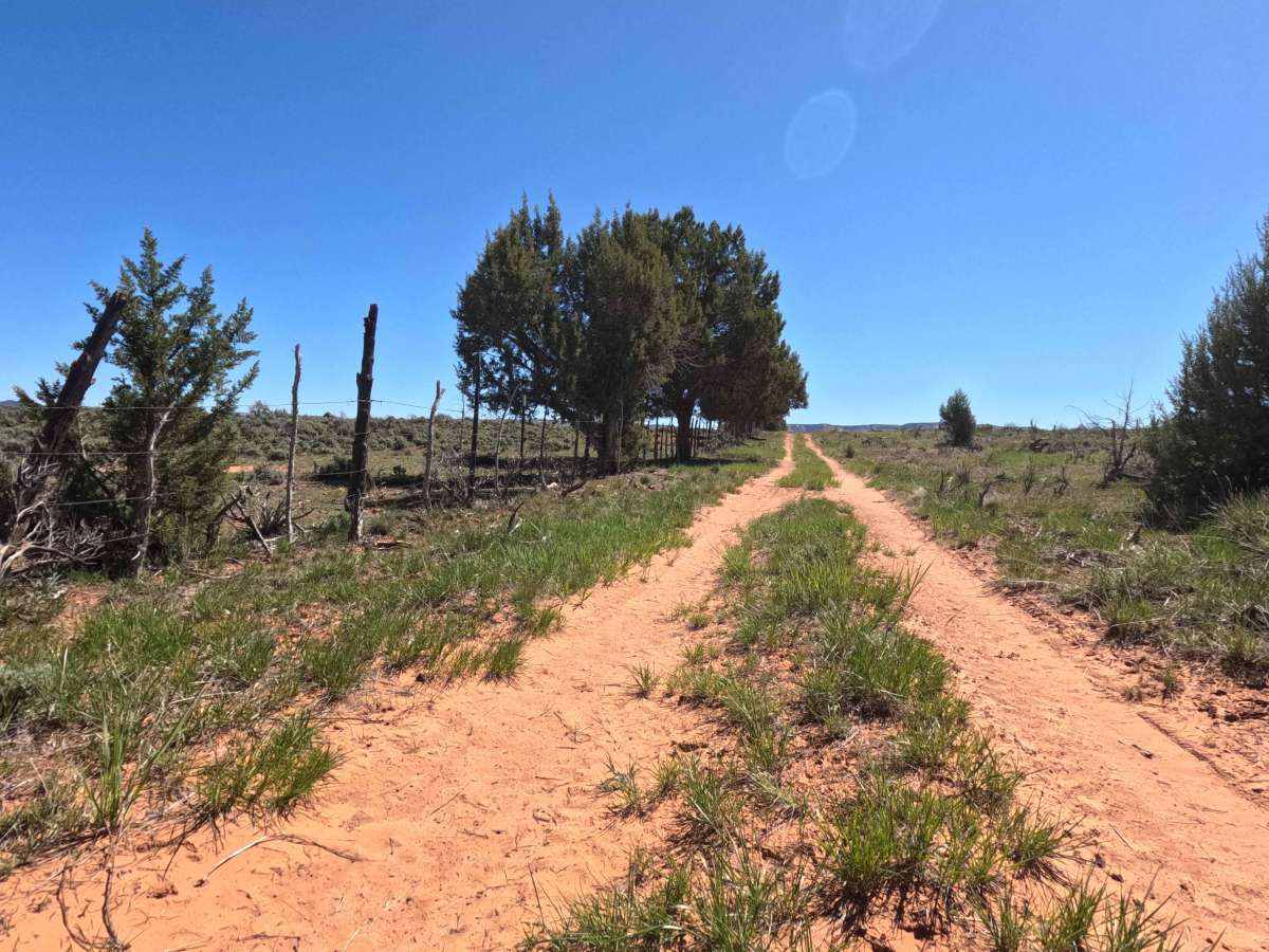 BLM 73H photo 2