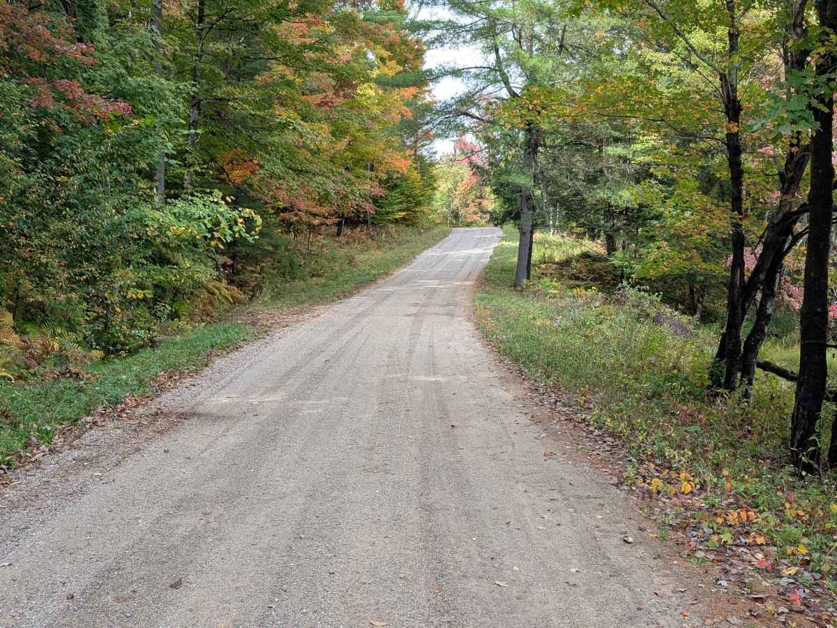 Boyd Pond Access Road photo 3