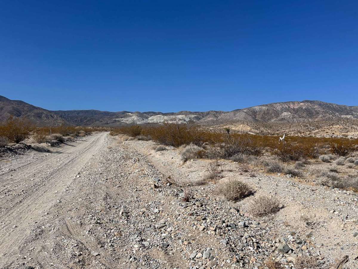 Coyote Flats photo 5