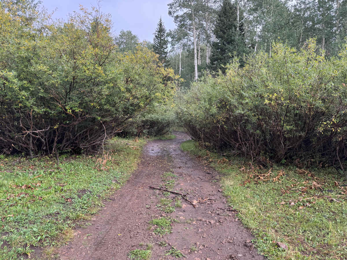 Turkey Creek Road photo 6