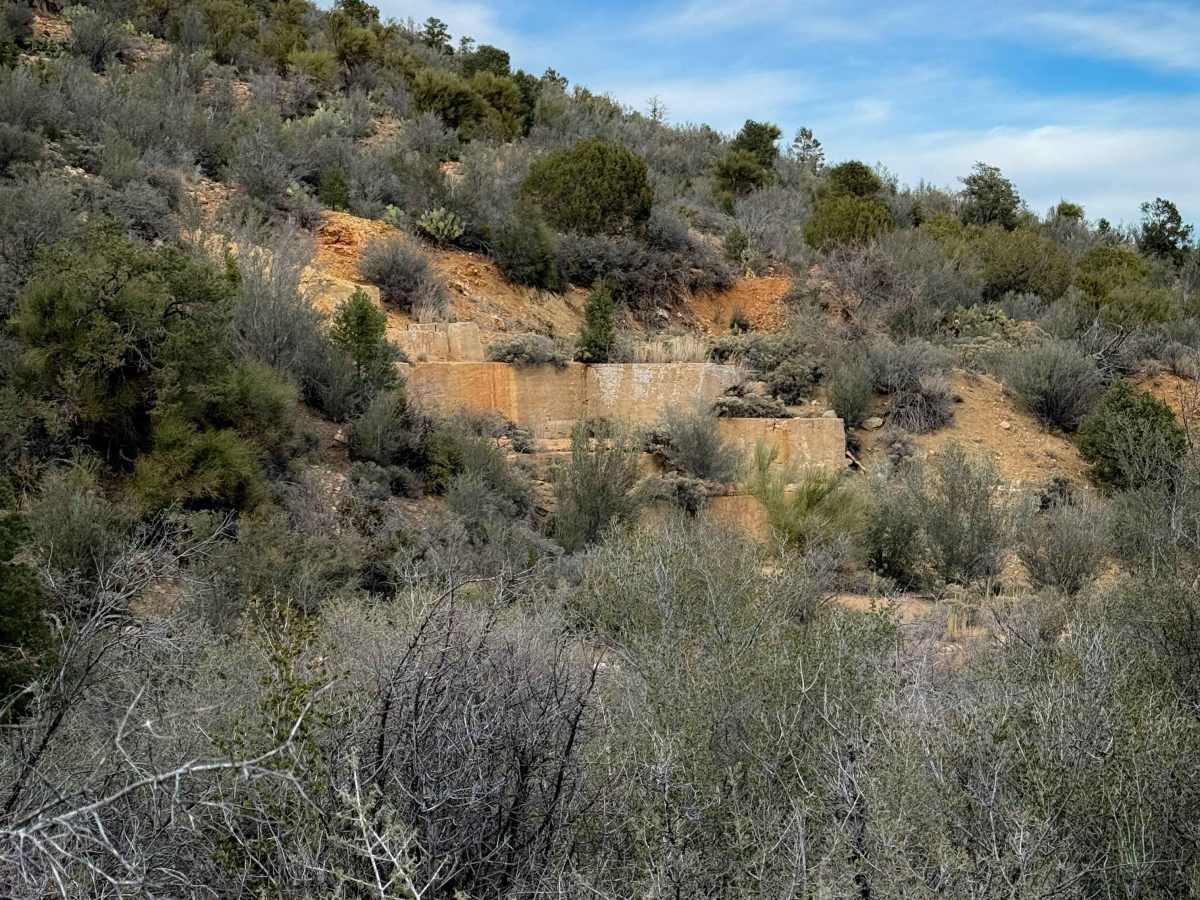 H1332/BLM 7226 photo 3