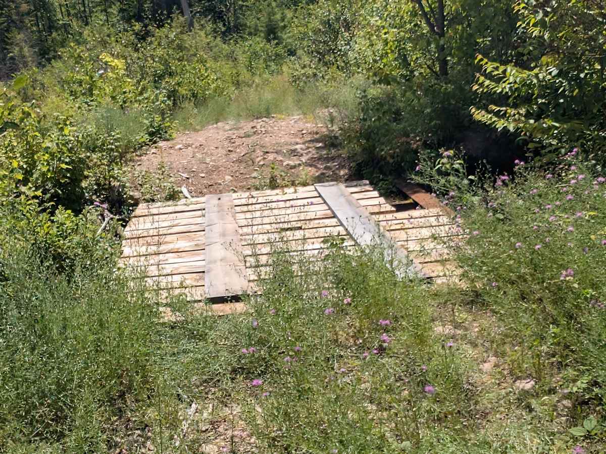 Albert Marsh Hill Trail photo 4