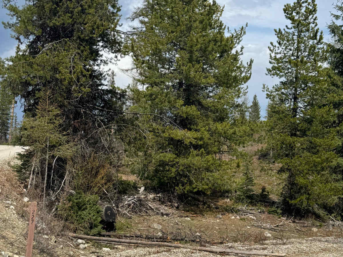 FS 6100-227 trail photo