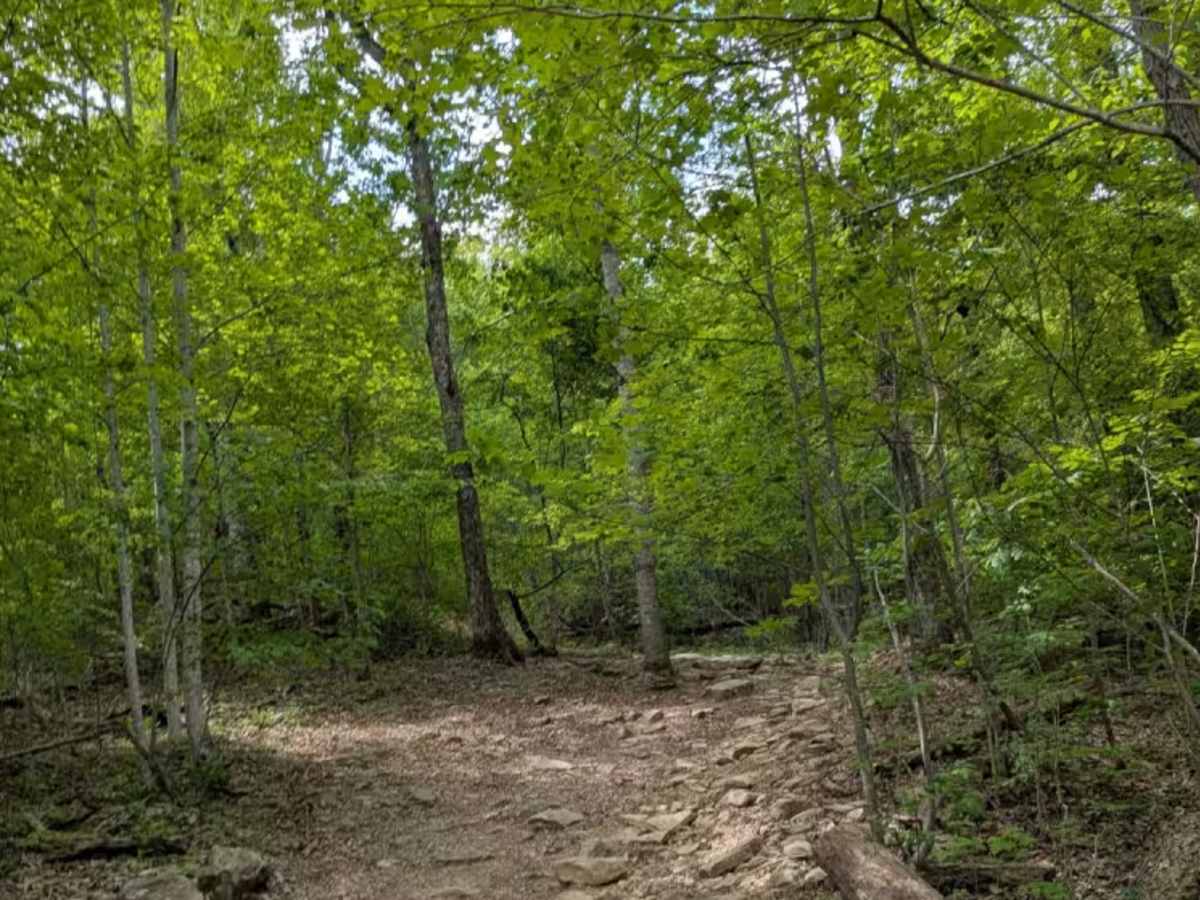 Trail 27 photo 6