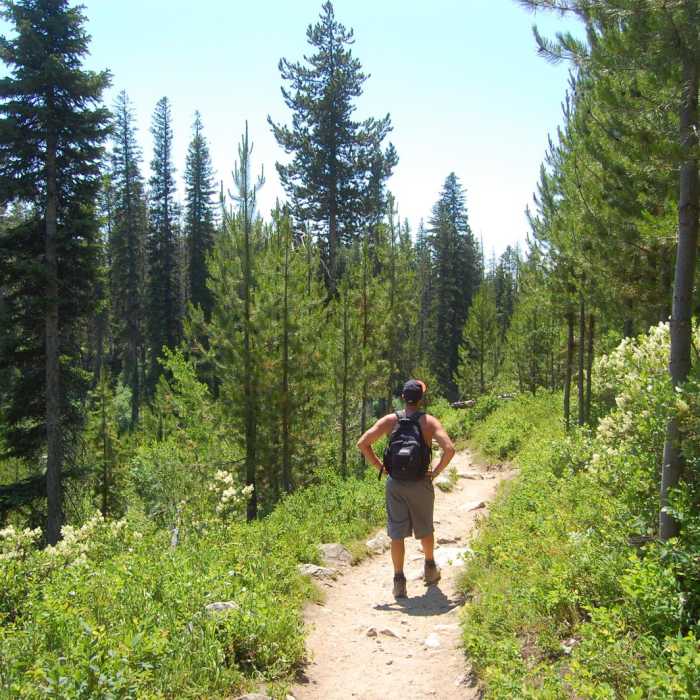 Near Hidden Falls via String Lake