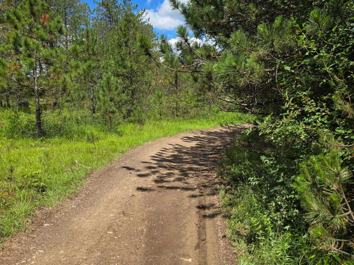 Single Track FF photo 4