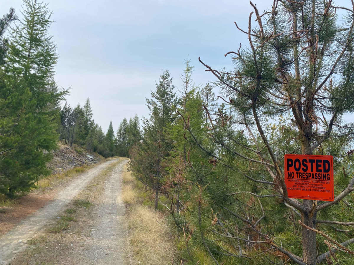 Haskill Divide photo 6