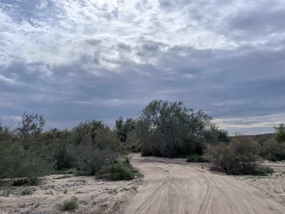 EC1238 Loop photo 2