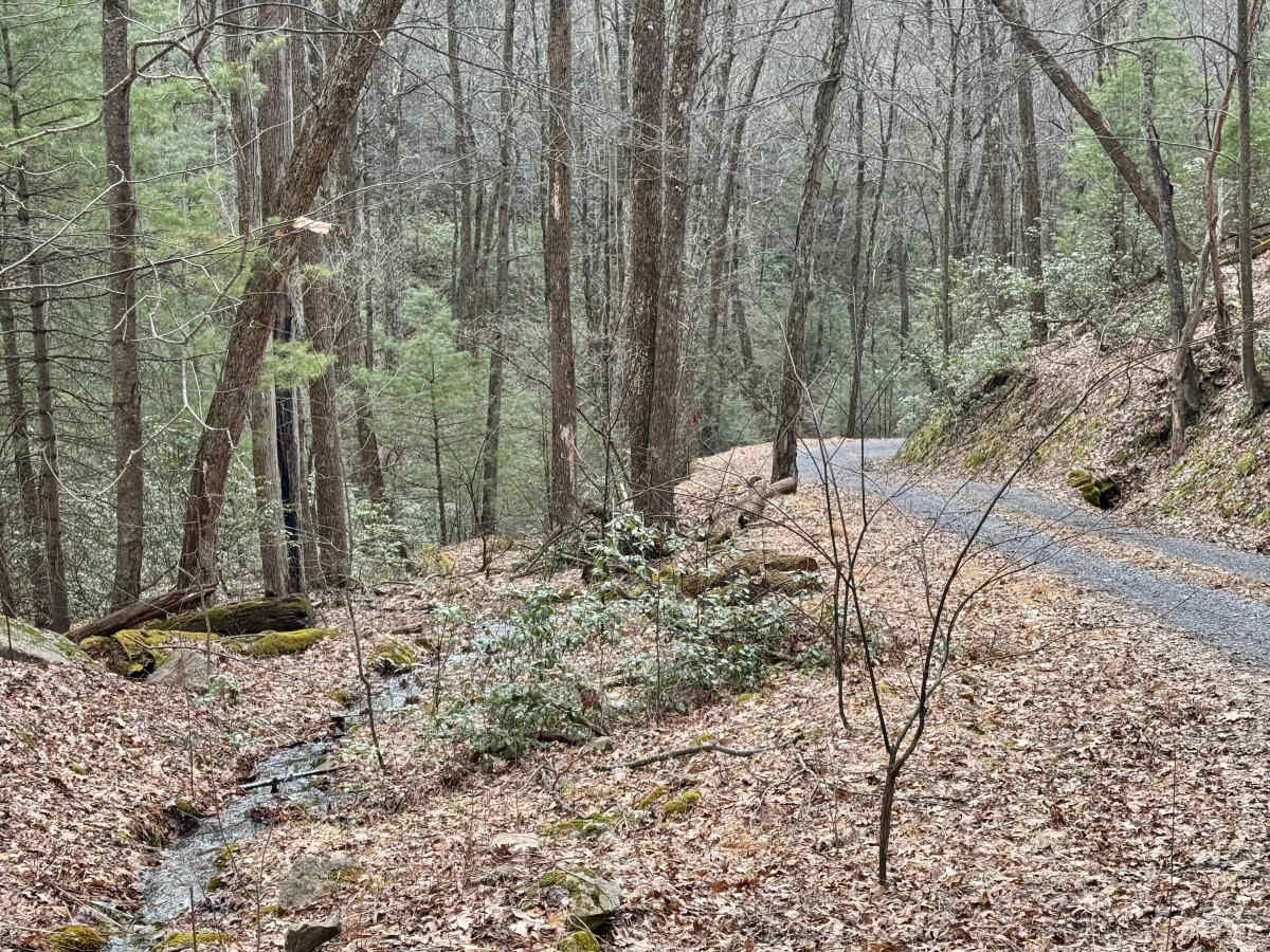 Mill Run Road photo 4
