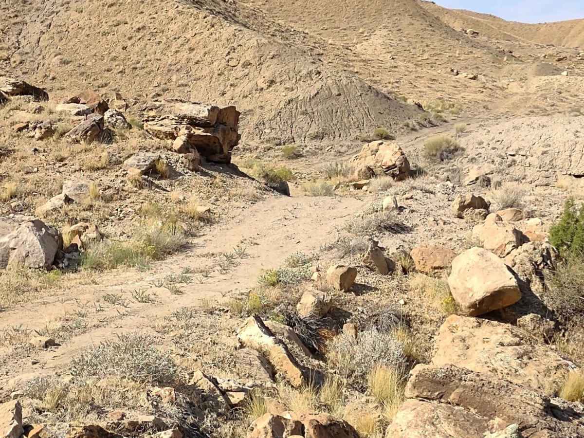 Tusher Canyon Rim photo 3