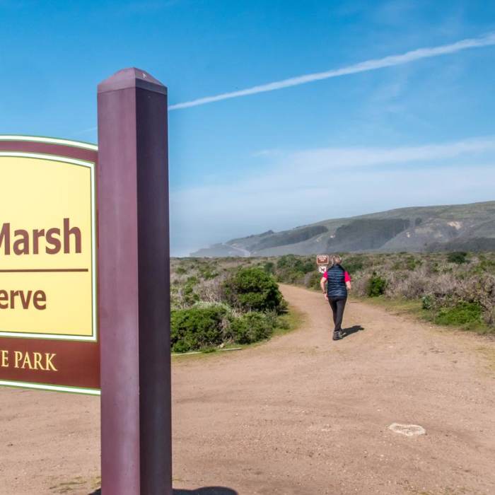 Near Pescadero Marsh Natural Preserve