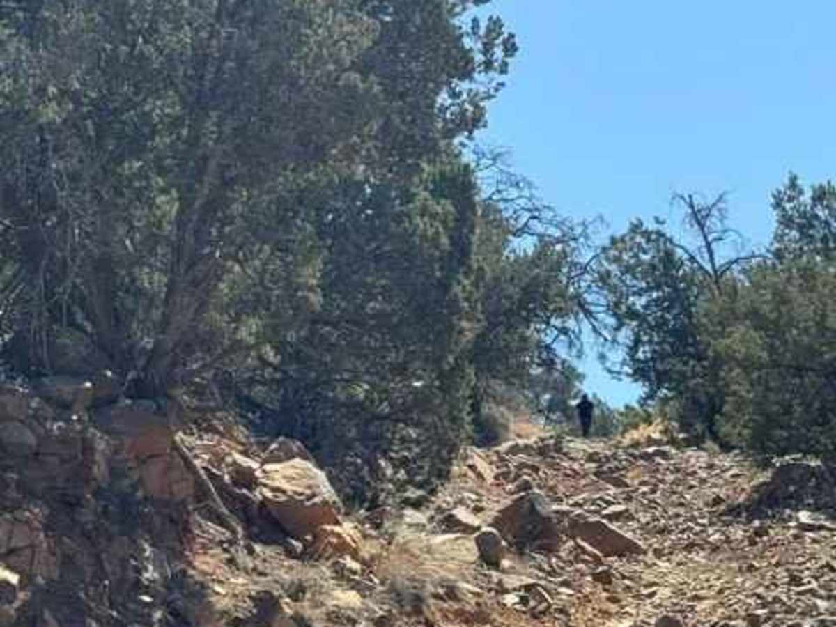 67 White Mountain Road photo 2