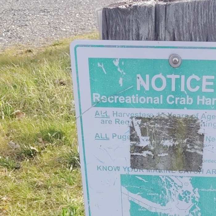 Solo Point Crab Harvesting Near Solo Point Road