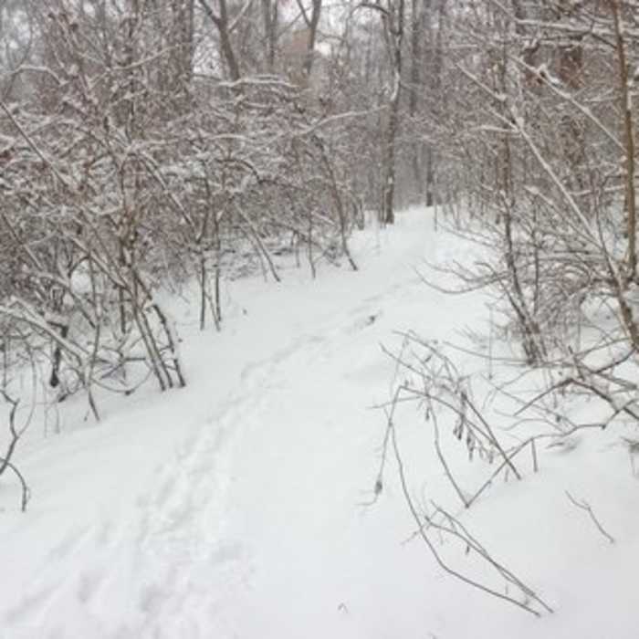 Near Braddock Trail Alternate