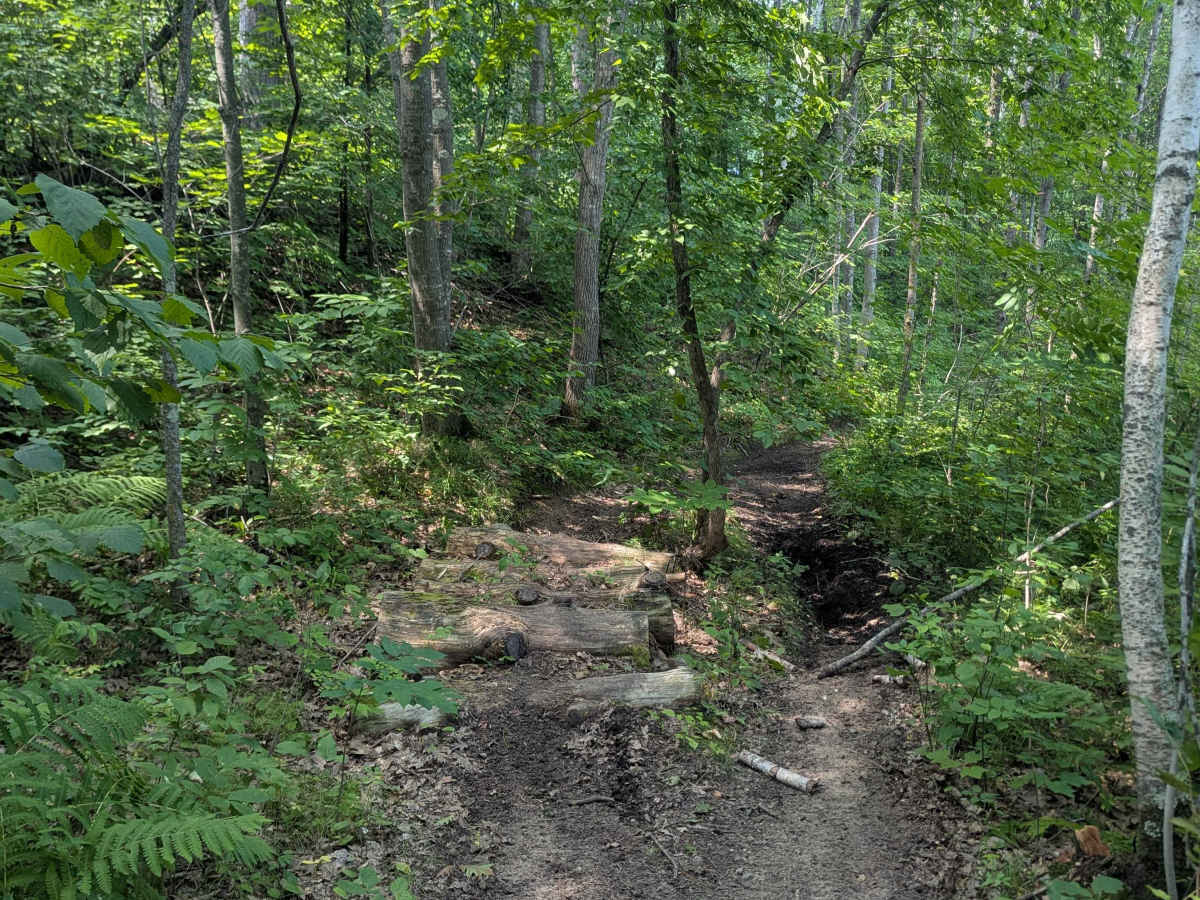Outer Loop photo 3