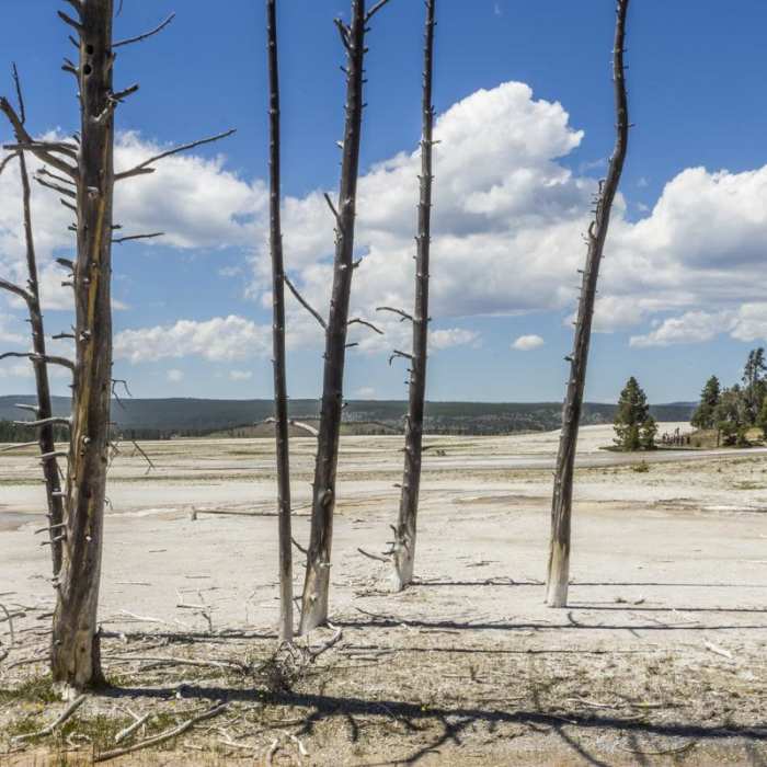 Near Fountain Paint Pots