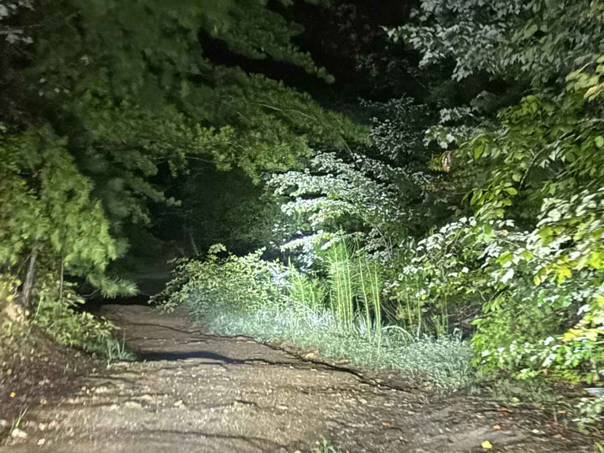 Fire Mountain Road photo 2