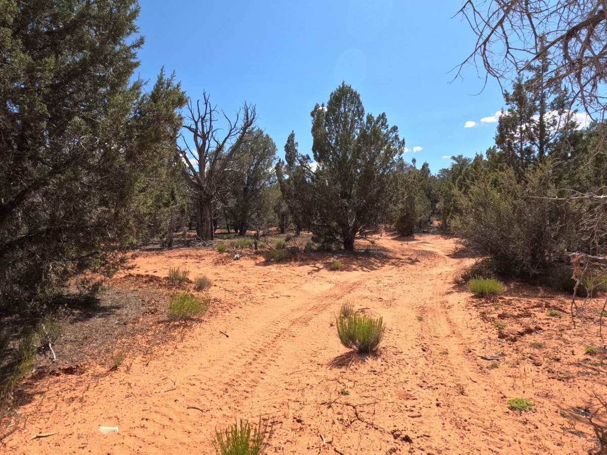 BLM 46H Spur trail photo