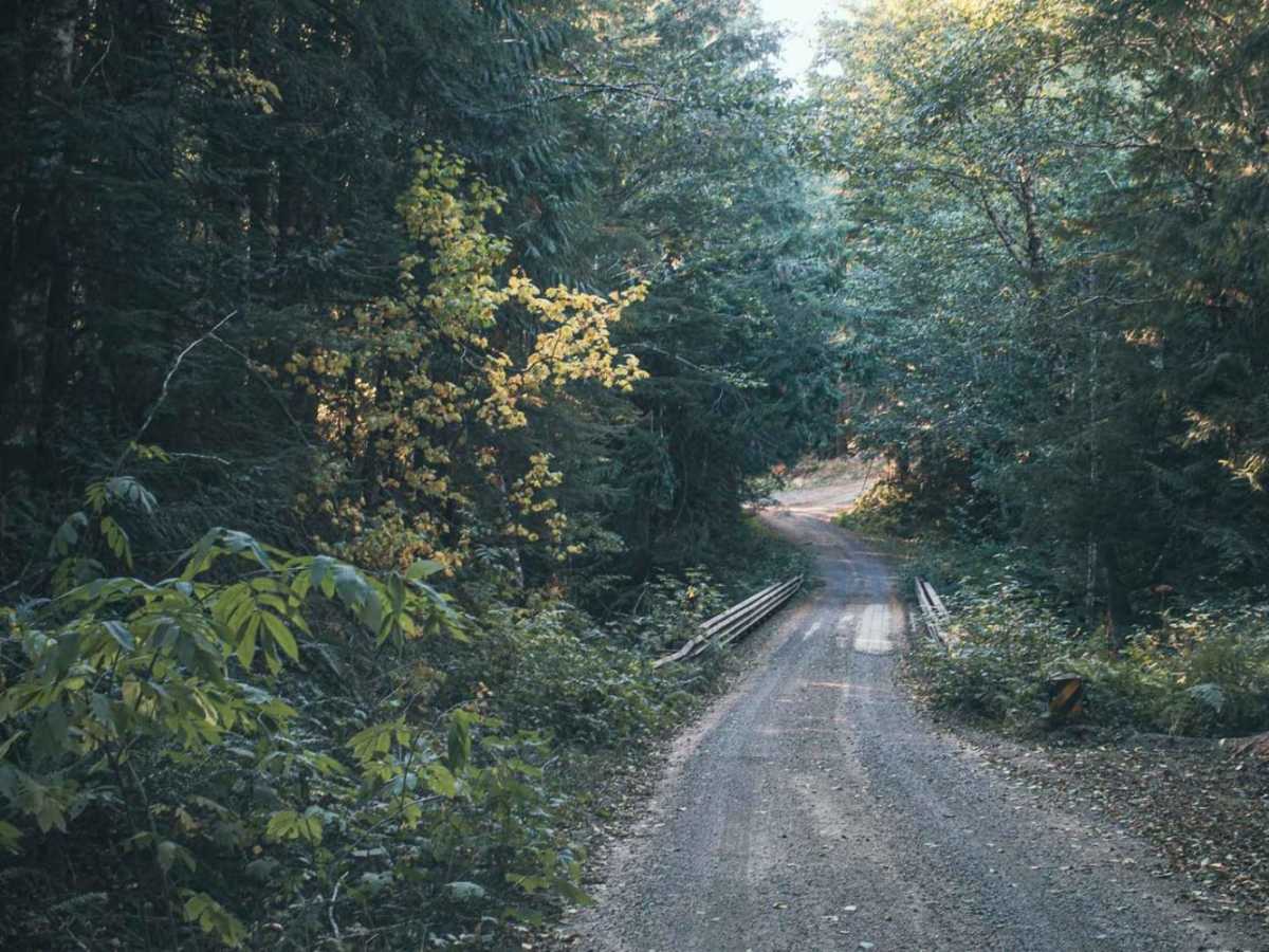 Catt Creek trail photo
