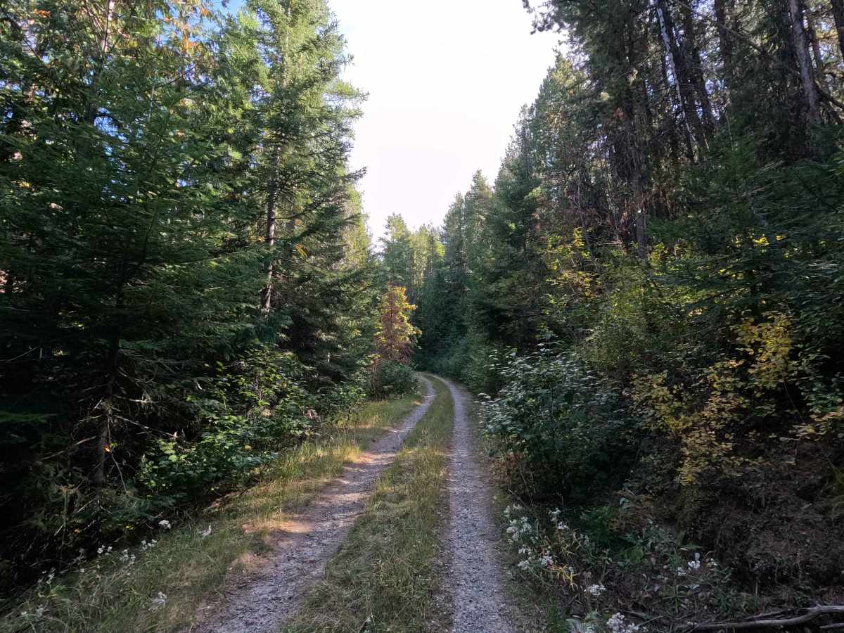 Healey Creek - FS 9517200 photo 6