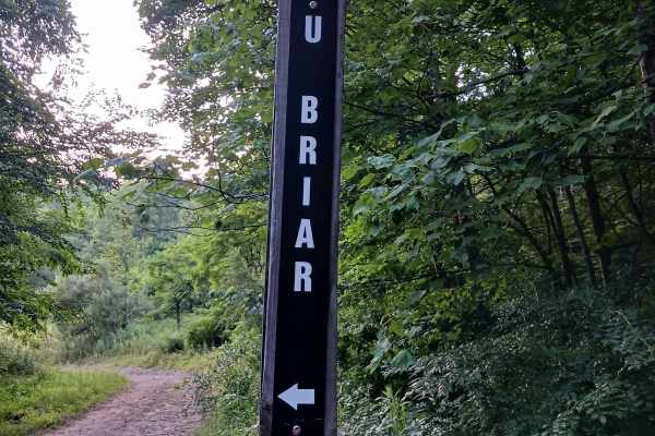 Upper Briar Path - Rock Run Recreation Area