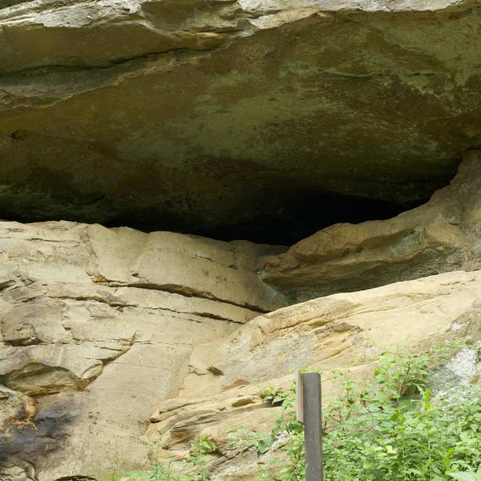 Near Lower Picnic Area Trail