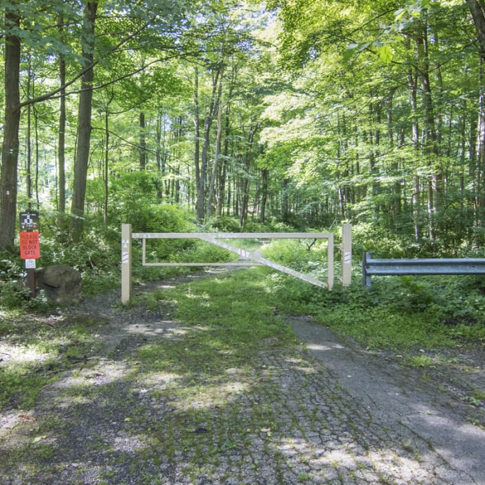 Near Sterling Fire Tower