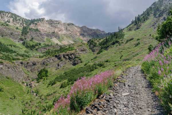 Mineral Fork