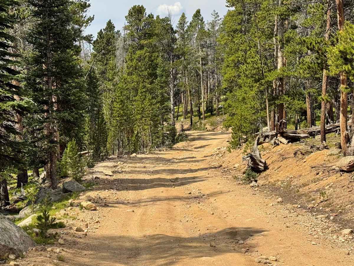 Roaring Creek Road photo 5