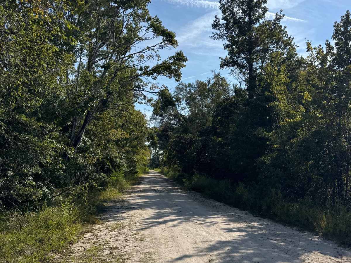 South Canal Road photo 5